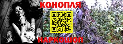 меф Краснознаменск