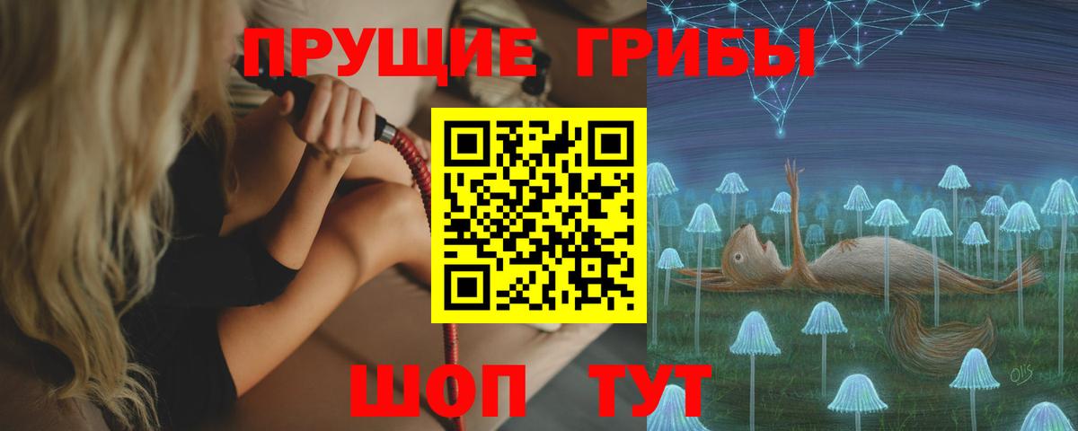 Конаково  Галлюциногенные грибы Cubensis  Галлюциногенные грибы Psilocybe  Вход с VPN 