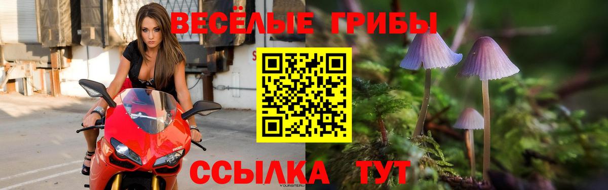 Галлюциногенные грибы ЛСД Конаково